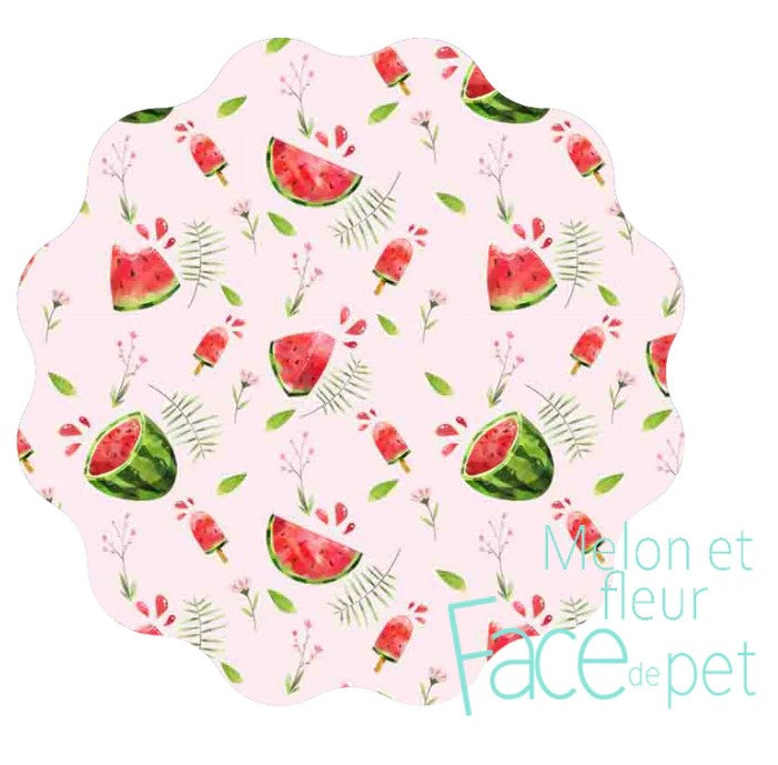 Face de pet Serviette hygiènique régulière Accessoires Face de pet Melon et fleur  