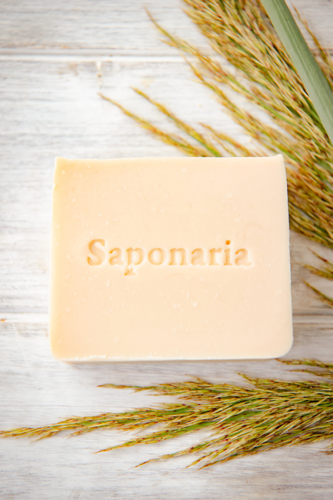 Savonnerie Saponaria Savon Soins corporels Savonnerie Saponaria Ambre blanc  